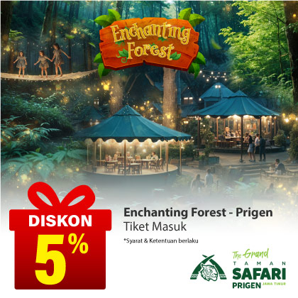 Special Offer ENCHANTING FOREST