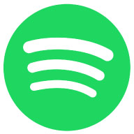Icon Spotify
