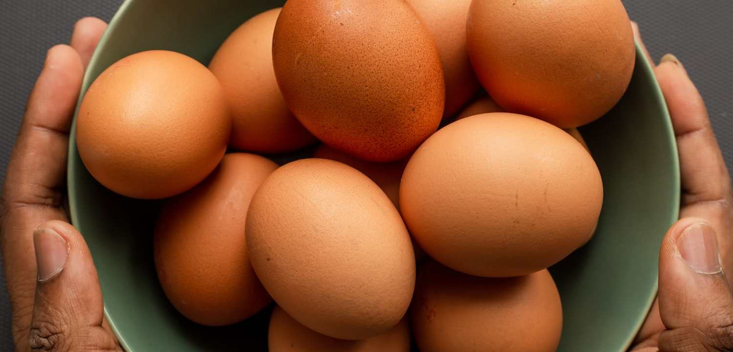 News Banner Kelebihan Telur Organik Dibandingkan Telur Biasa
