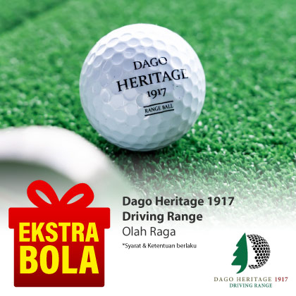 Special Offer DRIVING DAGO HERITAGE 1917
