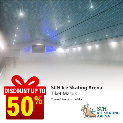 Special Offer SCH ICE SKATING ARENA