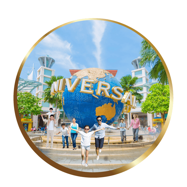 Icon reward Cerebrofort - Universal Studio Singapore Trip