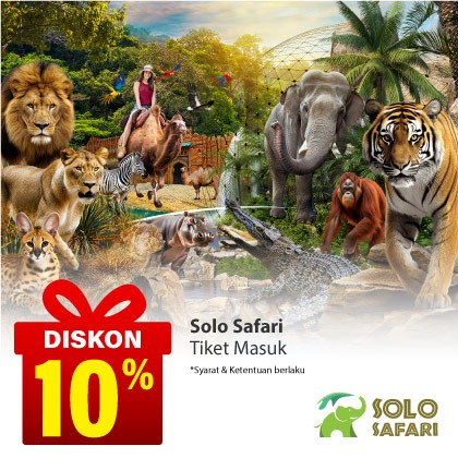 Special Offer SOLO SAFARI